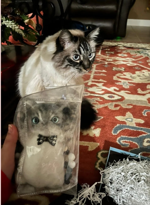 Custom-Handcrafted Adorable Squishy Chubby Big Size Silicone Pet